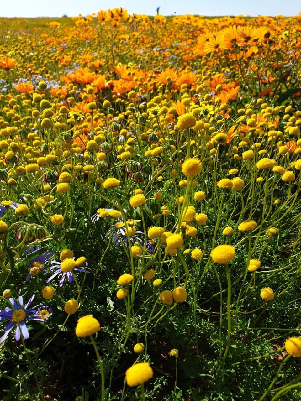 Namaqualand Eco Lodge Soebatsfontein Exterior photo